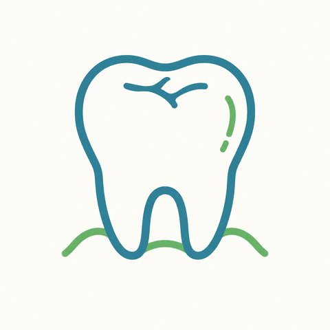 奥歯のイラスト
